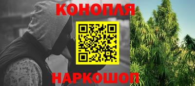 прущие грибы Рыбинск