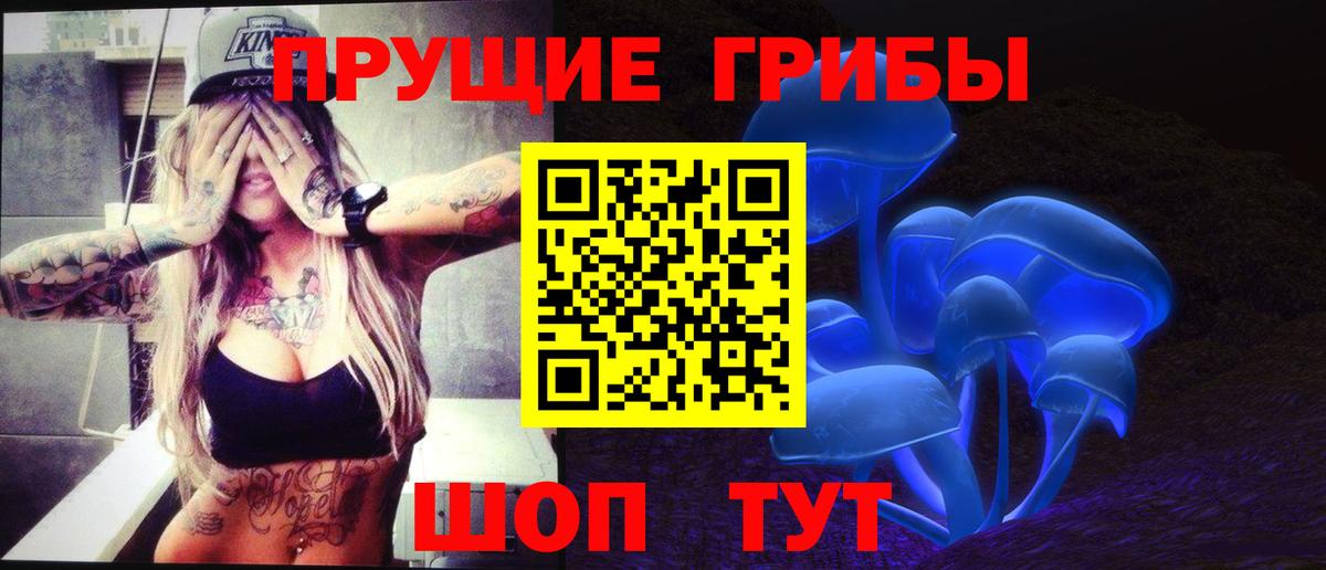 Псилоцибиновые грибы MAGIC MUSHROOMS  Вход с VPN  купить закладку  Псилоцибиновые грибы GOLDEN TEACHER  Полевской 
