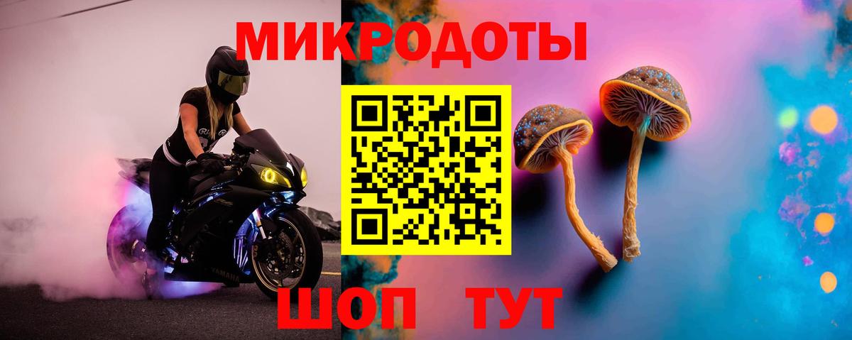Галлюциногенные грибы ЛСД Полевской