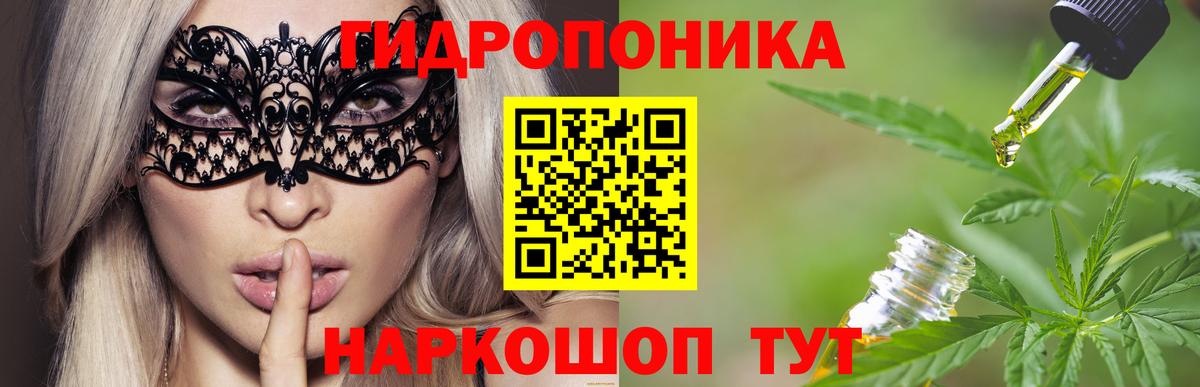 Бошки марихуана OG Kush Полевской